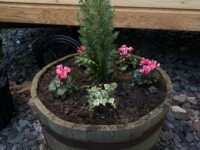 Hattie the Shepherd's Hut
