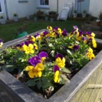 Flower bed