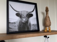 Hattie the Shepherd's Hut