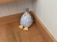 Hattie the Shepherd's Hut