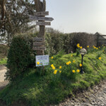 Westacott sign posts